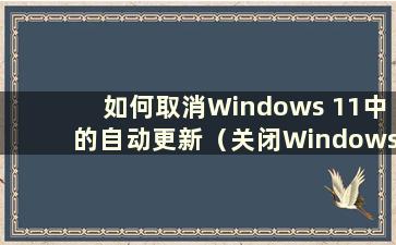 如何取消Windows 11中的自动更新（关闭Windows 11中的更新）